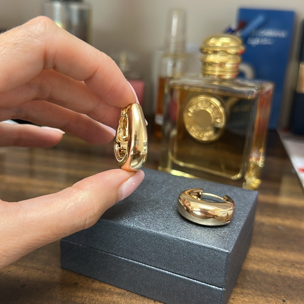 Elegant Gold Hoop Earrings House of Harlow 1960